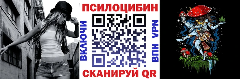 Галлюциногенные грибы Psilocybe Нижняя Салда