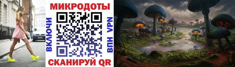 Псилоцибиновые грибы Psilocybe  Нижняя Салда 